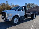 2025 Ford F-650 Regular Cab DRW 4x2, PJ's Platform Body Flatbed Truck for sale #SDF05569 - photo 6