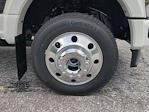 2025 Ford F-450 Crew Cab DRW 4WD Pickup for sale #SEC68525 - photo 9