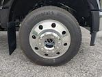 2025 Ford F-450 Crew Cab DRW 4WD Pickup for sale #SEC78151 - photo 9