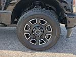 2025 Ford F-250 Crew Cab 4WD Pickup for sale #SEC80655 - photo 17