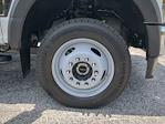 2025 Ford F-550 Crew Cab DRW 4WD Cab Chassis for sale #SEC94539 - photo 9