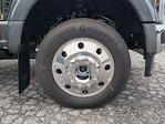 2025 Ford F-450 Crew Cab DRW 4WD Pickup for sale #SED13575 - photo 9
