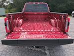 2025 Ford F-450 Crew Cab DRW 4WD Pickup for sale #SED25411 - photo 13