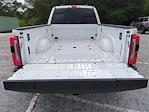 New 2025 Ford F-450 Platinum Crew Cab 4WD DRW Pickup for sale #SED32990 - photo 13