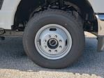 2025 Ford F-350 Crew Cab DRW 4WD Cab Chassis for sale #SED34197 - photo 10