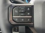 2025 Ford F-250 Crew Cab 4WD Pickup for sale #SED38127 - photo 24