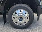 2025 Ford F-450 Crew Cab DRW 4WD Pickup for sale #SED48681 - photo 9