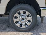 2025 Ford F-250 Crew Cab 4WD Pickup for sale #SED51074 - photo 9