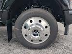 2025 Ford F-450 Crew Cab DRW 4WD Pickup for sale #SED53561 - photo 9