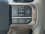 2025 Ford F-250 Crew Cab 4WD Pickup for sale #SED63646 - photo 20