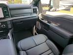 2025 Ford F-450 Crew Cab DRW 4WD Pickup for sale #SED78205 - photo 15