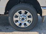 2025 Ford F-250 Crew Cab 4WD Pickup for sale #SED90840 - photo 14