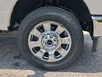 2025 Ford F-250 Crew Cab 4WD Pickup for sale #SED90848 - photo 17