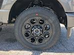 2025 Ford F-250 Crew Cab 4WD Pickup for sale #SED91438 - photo 17