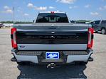 2025 Ford F-450 Crew Cab DRW 4WD Pickup for sale #SEE04157 - photo 6