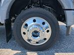 2025 Ford F-450 Crew Cab DRW 4WD Pickup for sale #SEE04157 - photo 9