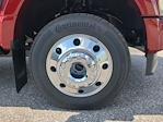 2025 Ford F-450 Crew Cab DRW 4WD Pickup for sale #SEE06038 - photo 9