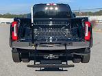 2025 Ford F-450 Crew Cab DRW 4WD Pickup for sale #SEE06273 - photo 10