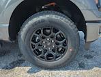 2025 Ford F-150 SuperCrew Cab 4WD Pickup for sale #SFA33729 - photo 9