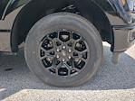 2025 Ford F-150 SuperCrew Cab RWD Pickup for sale #SFA83132 - photo 9