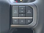 2025 Ford F-150 SuperCrew Cab 4WD Pickup for sale #SFB06228 - photo 24
