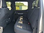New 2025 Ford F-150 XLT SuperCrew Cab 4WD Pickup for sale #SFB89492 - photo 12