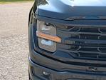 New 2025 Ford F-150 XLT SuperCrew Cab 4WD Pickup for sale #SFB89554 - photo 15
