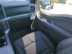 New 2025 Ford F-150 XLT SuperCrew Cab 4WD Pickup for sale #SFC10450 - photo 15