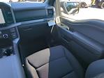 New 2025 Ford F-150 XLT SuperCrew Cab 4WD Pickup for sale #SFC10453 - photo 15