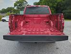 2025 Ford F-150 SuperCrew Cab 4WD Pickup for sale #SKD03251 - photo 11