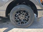 2025 Ford F-150 SuperCrew Cab RWD Pickup for sale #SKD14121 - photo 17