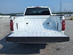 2025 Ford F-150 SuperCrew Cab 4WD Pickup for sale #SKD27904 - photo 11