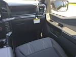 2025 Ford F-150 SuperCrew Cab RWD Pickup for sale #SKD32229 - photo 24