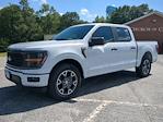 2025 Ford F-150 SuperCrew Cab RWD Pickup for sale #SKD32229 - photo 11