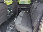 New 2025 Ford F-150 STX SuperCrew Cab 4WD Pickup for sale #SKD32519 - photo 12