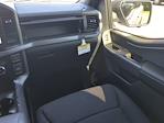 2025 Ford F-150 SuperCrew Cab 4WD Pickup for sale #SKD48308 - photo 28
