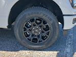 2025 Ford F-150 SuperCrew Cab 4WD Pickup for sale #SKD48308 - photo 17