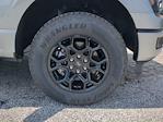 2025 Ford F-150 SuperCrew Cab 4WD Pickup for sale #SKD53017 - photo 17