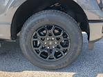 2025 Ford F-150 SuperCrew Cab 4WD Pickup for sale #SKD59950 - photo 17
