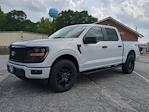 2025 Ford F-150 SuperCrew Cab 4WD Pickup for sale #SKD67901 - photo 1