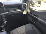2025 Ford F-150 SuperCrew Cab 4WD Pickup for sale #SKD75215 - photo 25