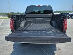 2025 Ford F-150 SuperCrew Cab 4WD Pickup for sale #SKD77432 - photo 11