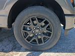 2025 Ford F-150 SuperCrew Cab 4WD Pickup for sale #SKE00443 - photo 17