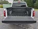 2025 Ford F-150 SuperCrew Cab 4WD Pickup for sale #SKE24203 - photo 11