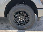 2025 Ford F-150 SuperCrew Cab 4WD Pickup for sale #SKE24381 - photo 9