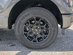 2025 Ford F-150 SuperCrew Cab 4WD Pickup for sale #SKE24439 - photo 9