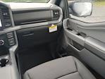 2025 Ford F-150 SuperCrew Cab RWD Pickup for sale #SKE30373 - photo 28