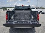 2025 Ford F-150 SuperCrew Cab RWD Pickup for sale #SKE31966 - photo 20