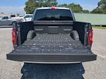 2025 Ford F-150 SuperCrew Cab RWD Pickup for sale #SKE37844 - photo 20