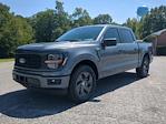 2025 Ford F-150 SuperCrew Cab RWD Pickup for sale #SKE37844 - photo 1